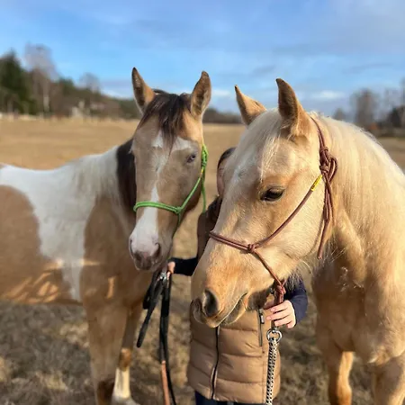 Apartamento Mattys Ranc Vsetec