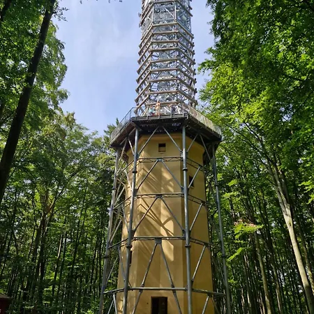 Mattys Ranc Vsetec *