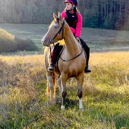 Mattys Ranc Vsetec Apartamento *