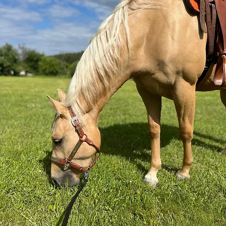 Apartamento Mattys Ranc Vsetec *