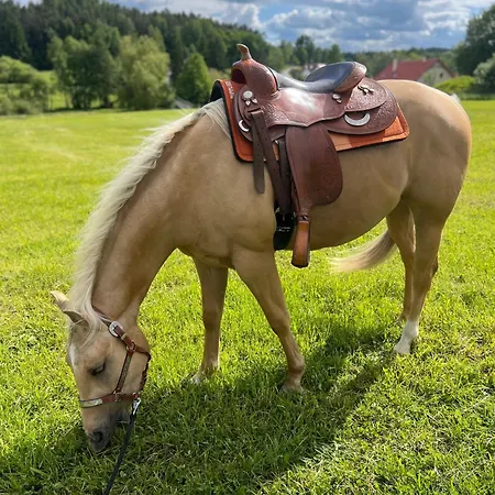 Mattys Ranc Vsetec *